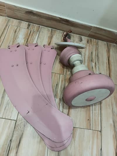 Royal ceiling fan
