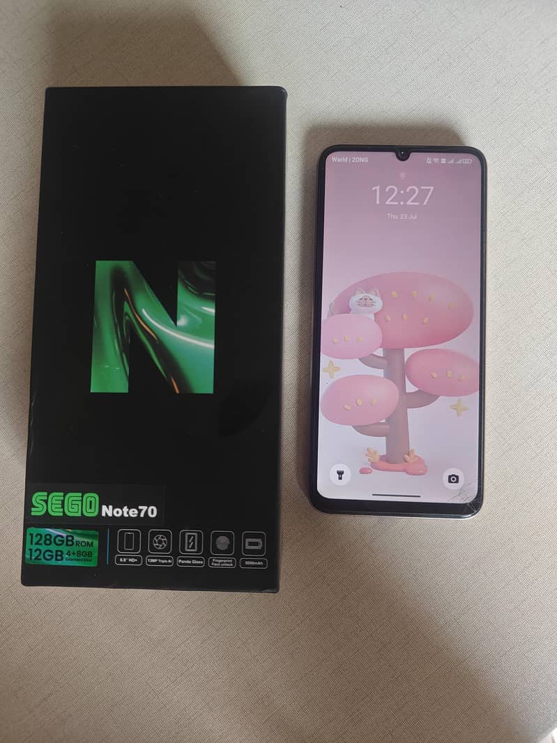 SEGO Note 60 1
