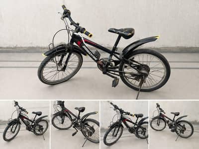 Original Japanese Bridgestone Bicycle