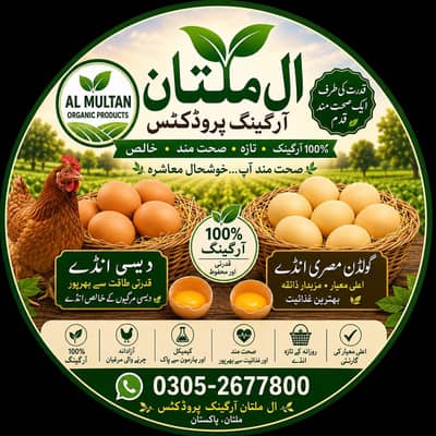 Sardar Naveed
