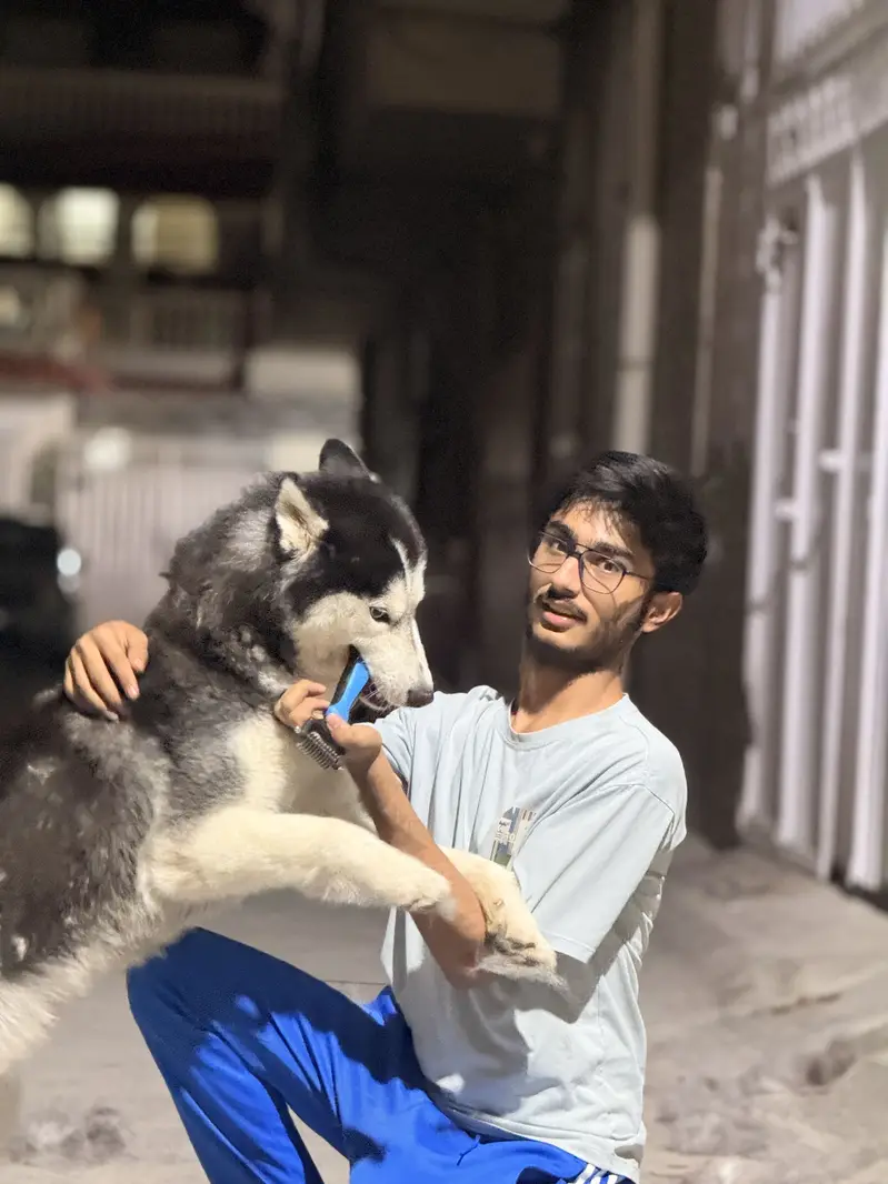 Male husky — photo 11