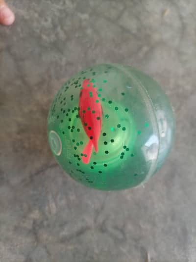 lightning ball with fish and sparkle inside