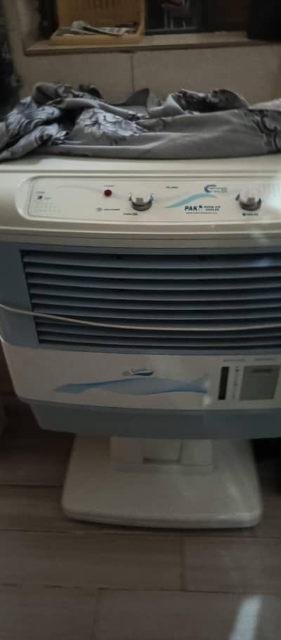 A one condition plastic body