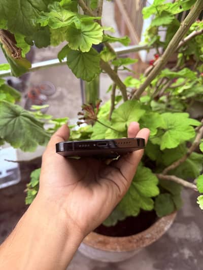 iPhone 14 Pro Max pta official approve