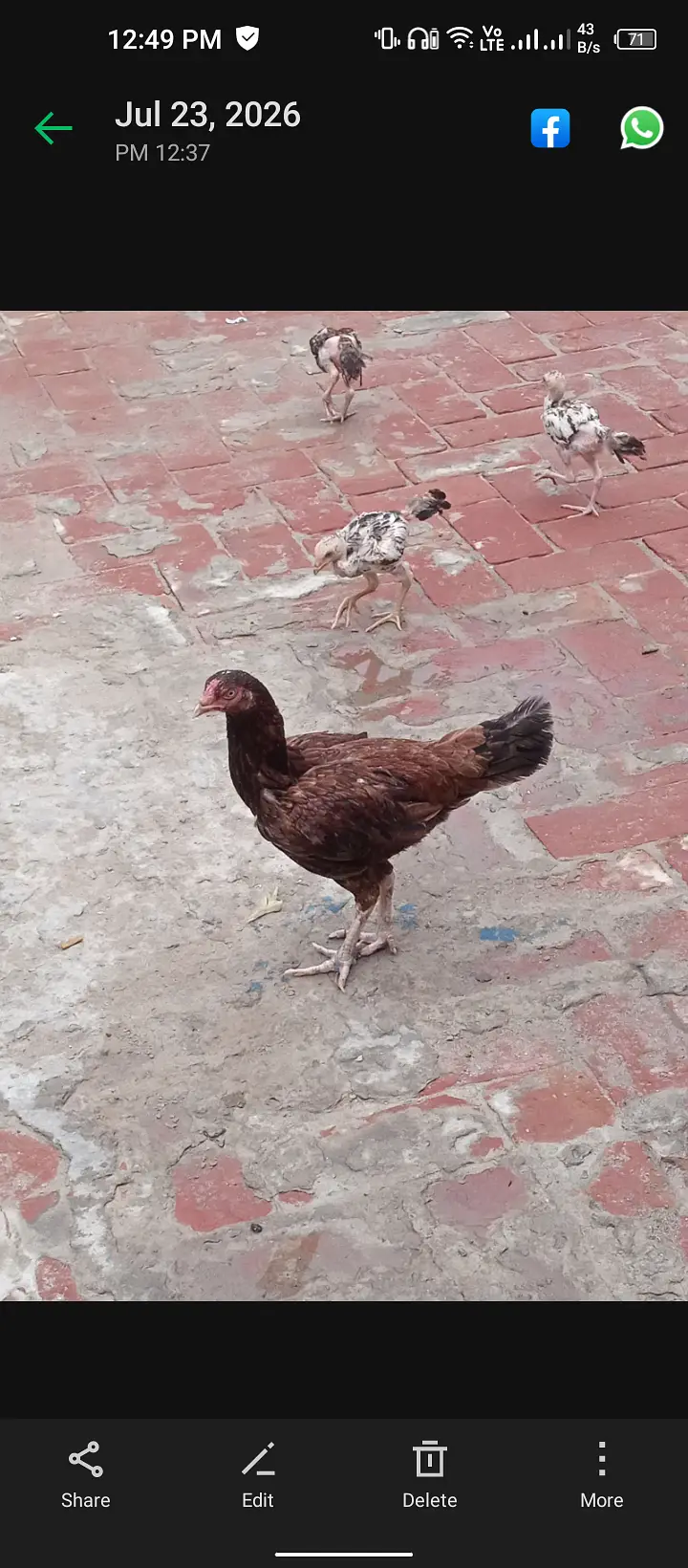 4500 Mansoorabad 03287220420 — photo 4