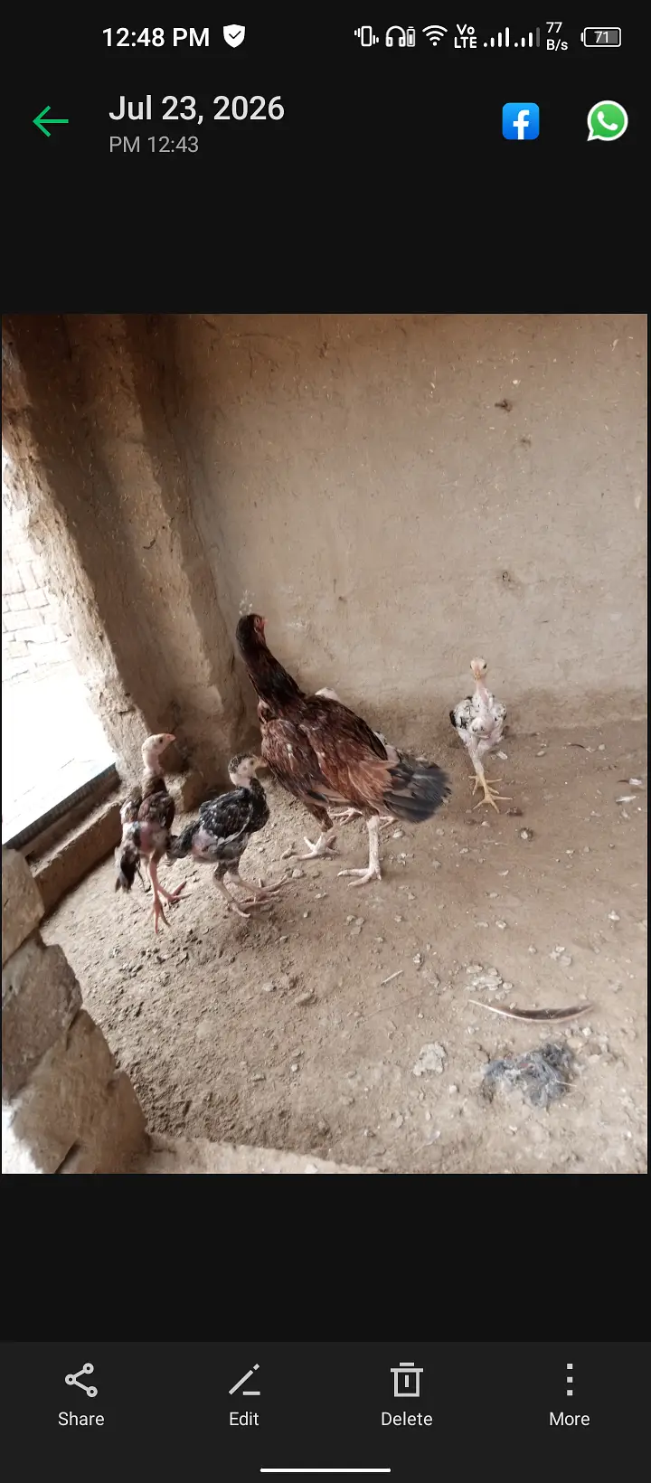 4500 Mansoorabad 03287220420 — photo 5
