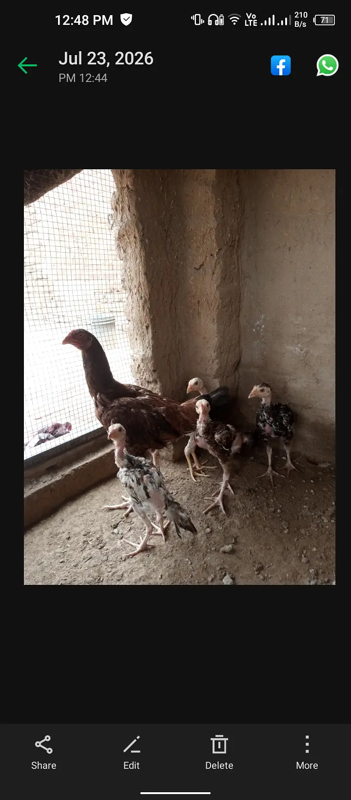 4500 Mansoorabad 03287220420 — photo 6