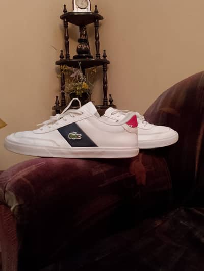 Premium Men's Sports Shoes | White Casual Sport Sneakers
