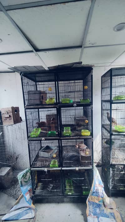 Cages | Pinjra | Iron Cage | Steel Cage | wooden Cage | Birds Cage