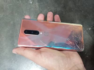 One plus 8 pta approve