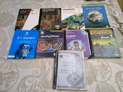 LGS Landmark Grade 6 Books