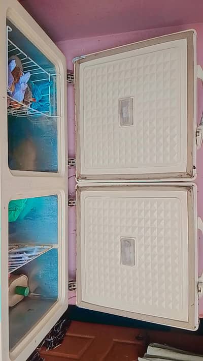 refrigerator and freezer