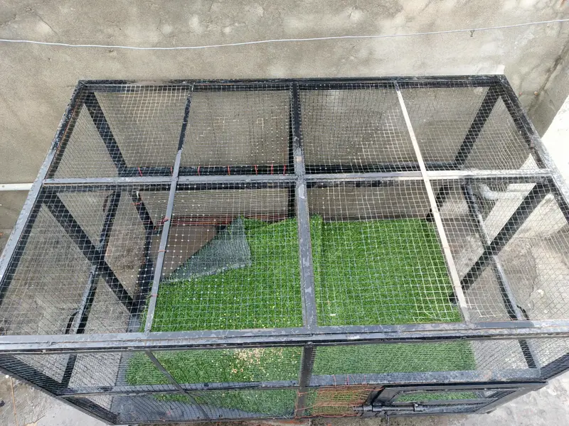 Iron cage heavy birds and  cat heavy duty — photo 2
