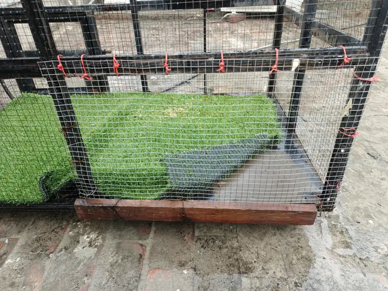 Iron cage heavy birds and  cat heavy duty — photo 4