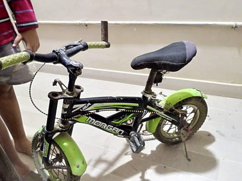 Morgan cycle 1