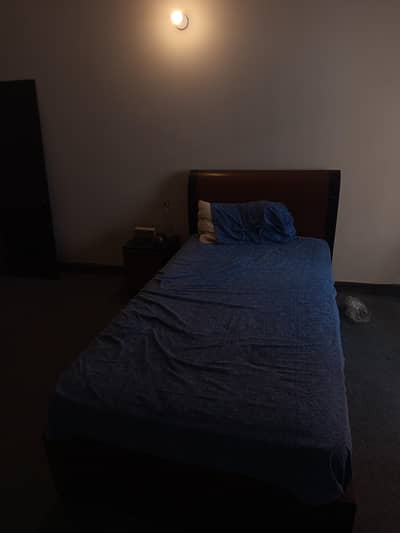 Oak Wood Single Bed with Orthopedic Mattress