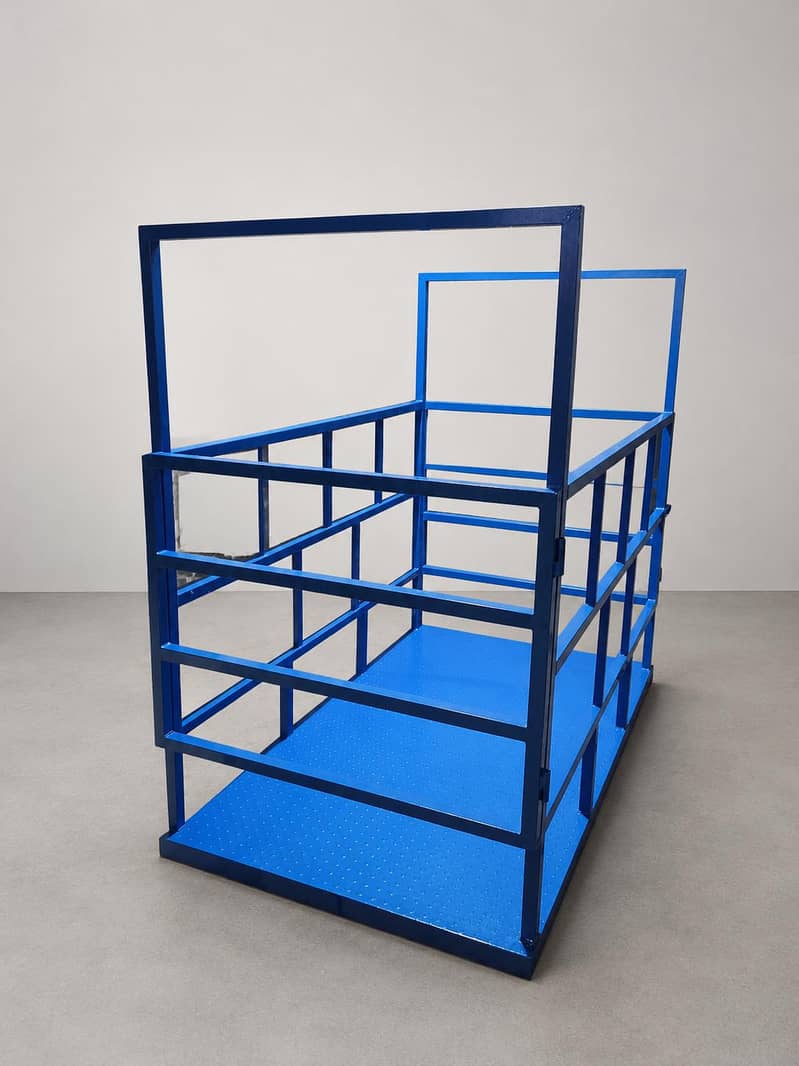 CATTLE SCALE 2