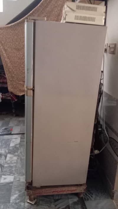 dowlance midum size frig for sale