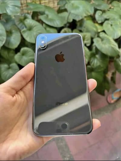 Apple iPhone X