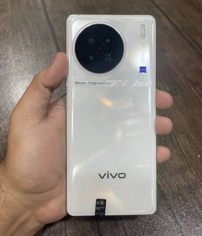 Vivo X90s