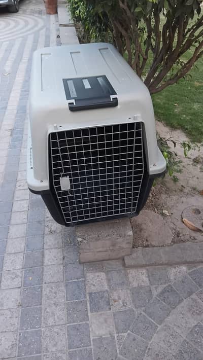 Animal Travel Box (Jetbox) XL Size