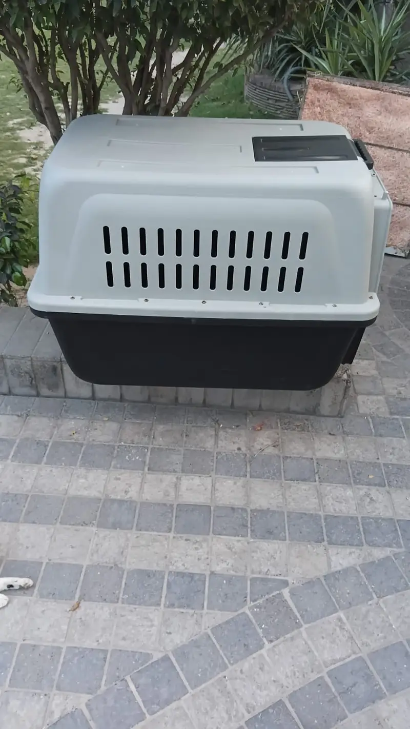 Animal Travel Box (Jetbox) XL Size — photo 2