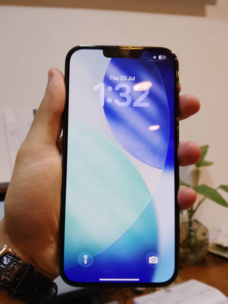 Iphone 13 pro max 1
