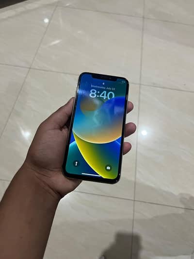 Apple iPhone X