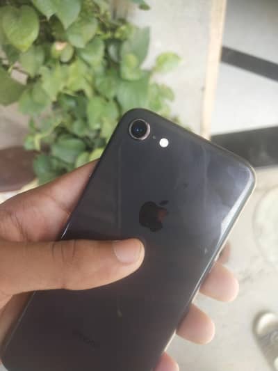 Apple iPhone 8