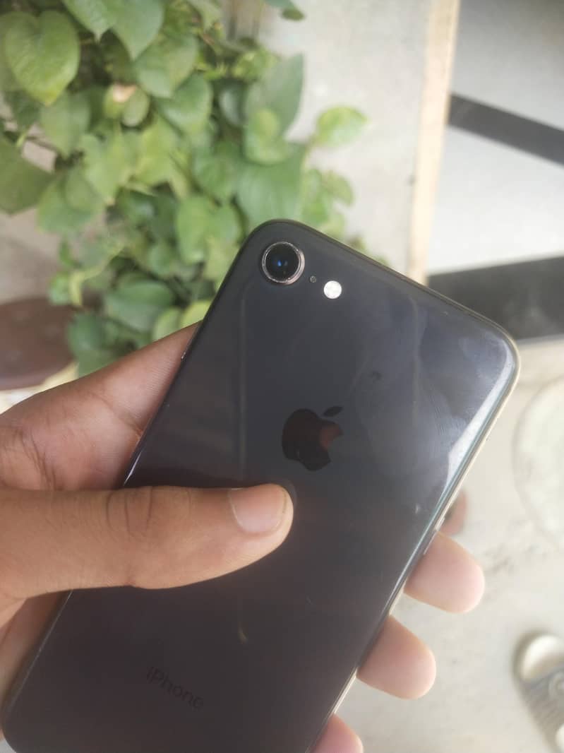 Apple iPhone 8 0