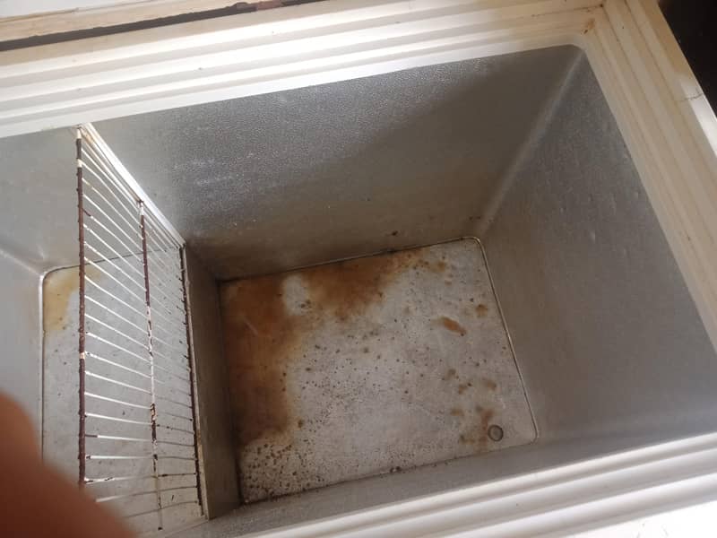 freezer 6