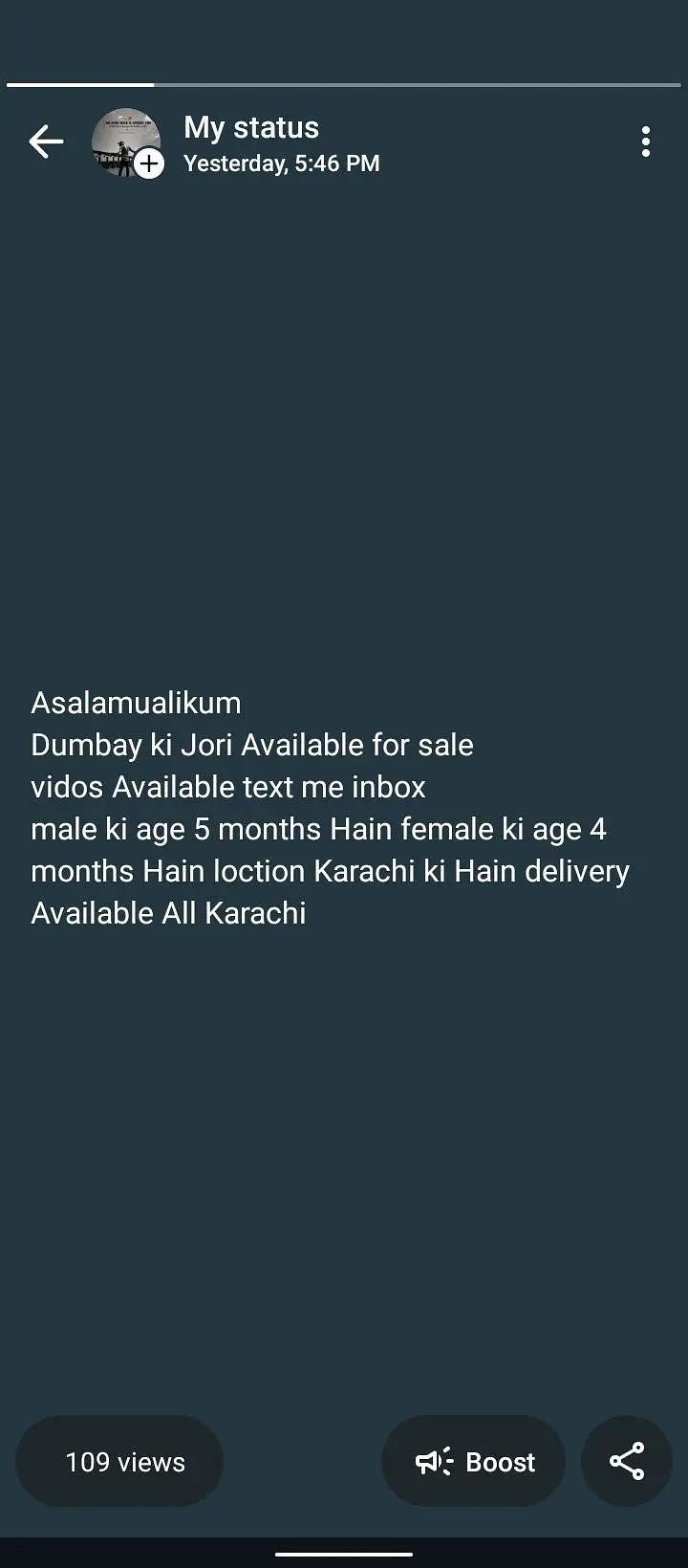 dumby ki jori Available for sale — photo 12