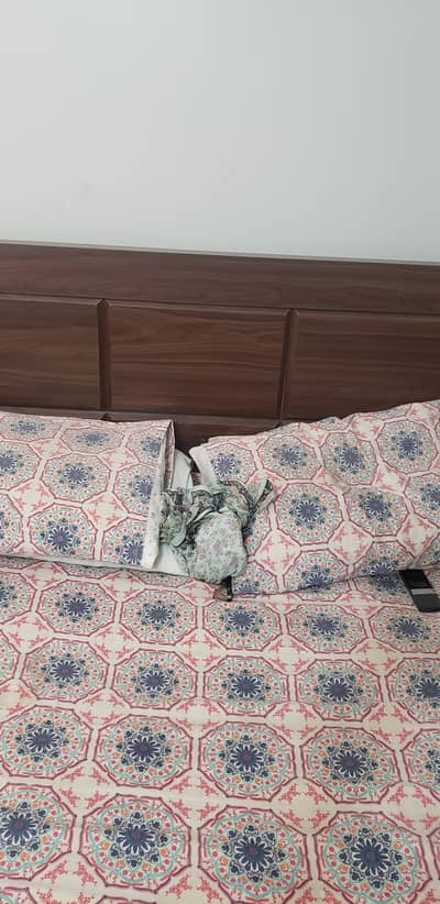 Bedroom ( SET)
