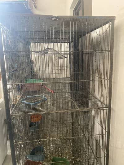 Only cage for sale