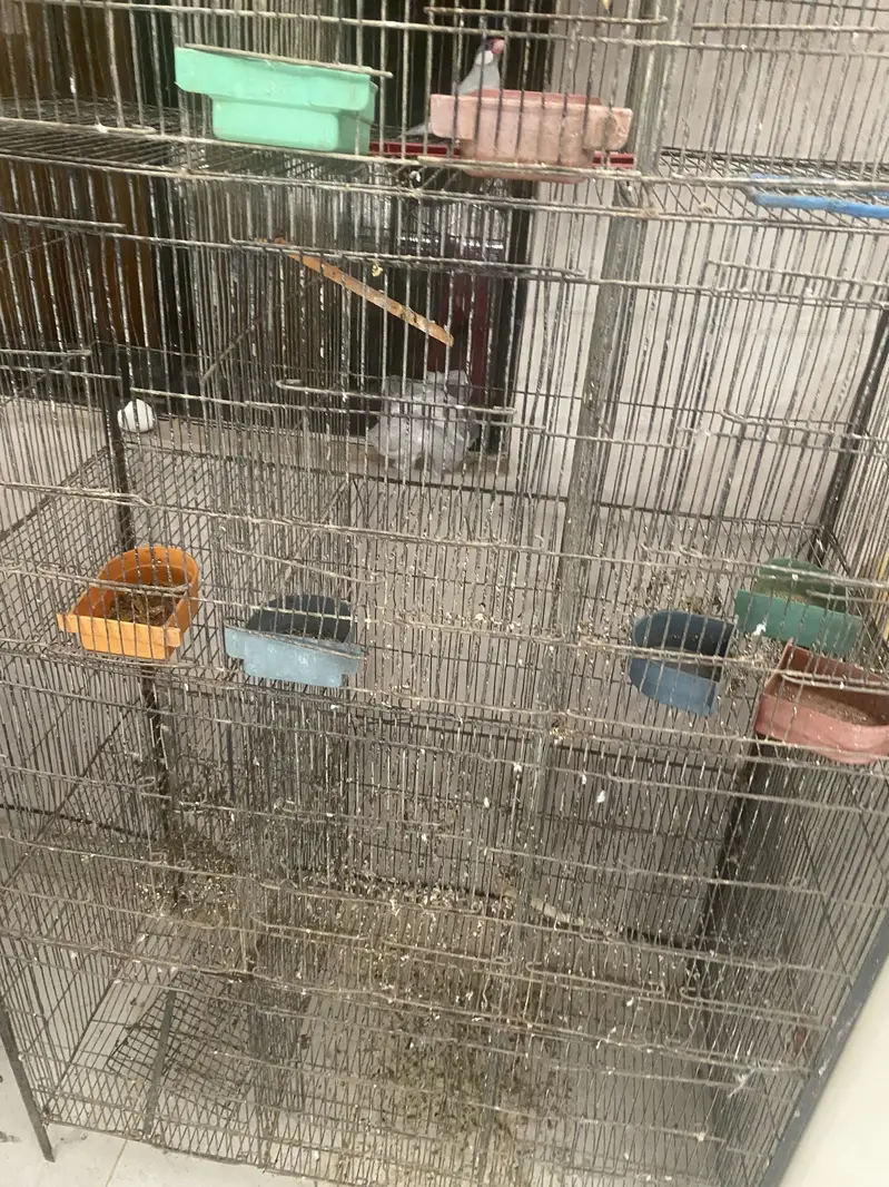 Only cage for sale — photo 2