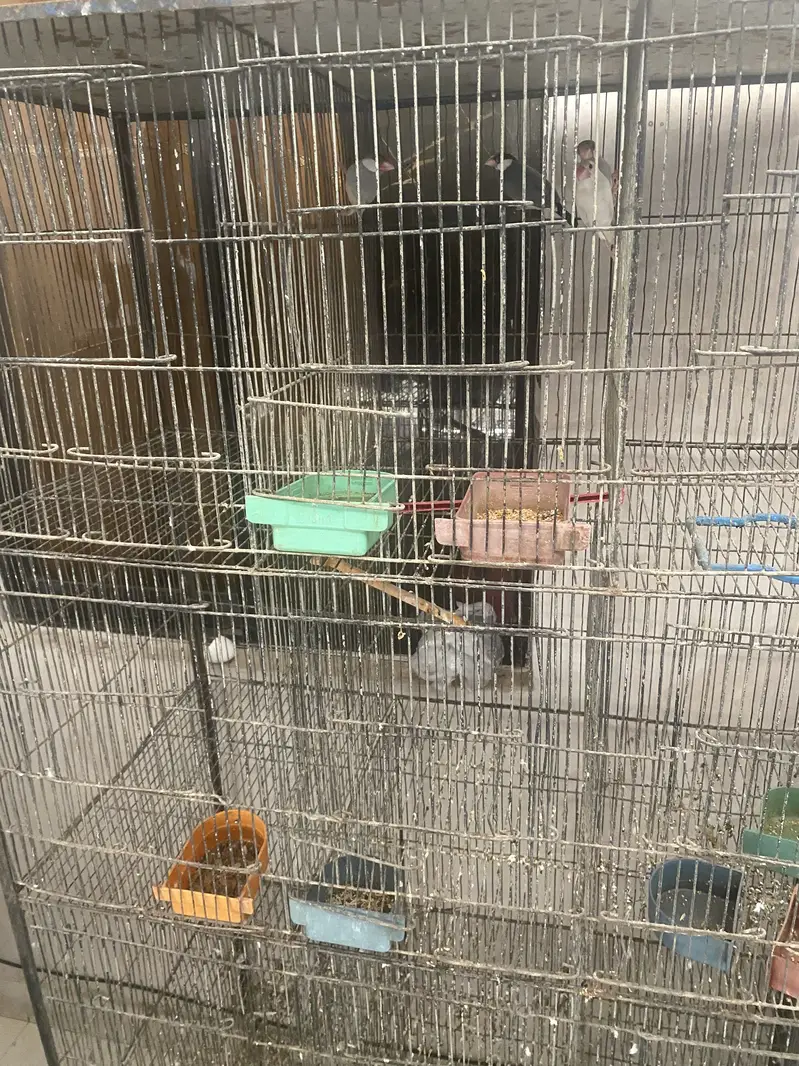 Only cage for sale — photo 4
