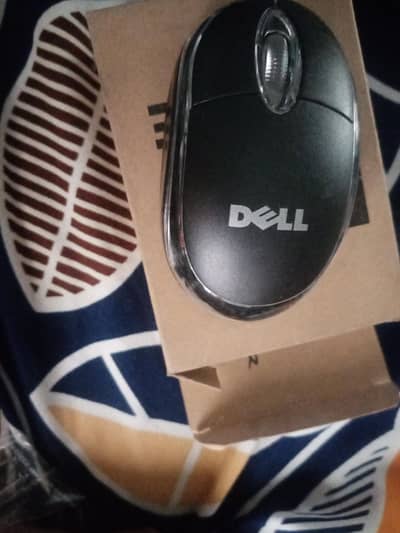 mouse