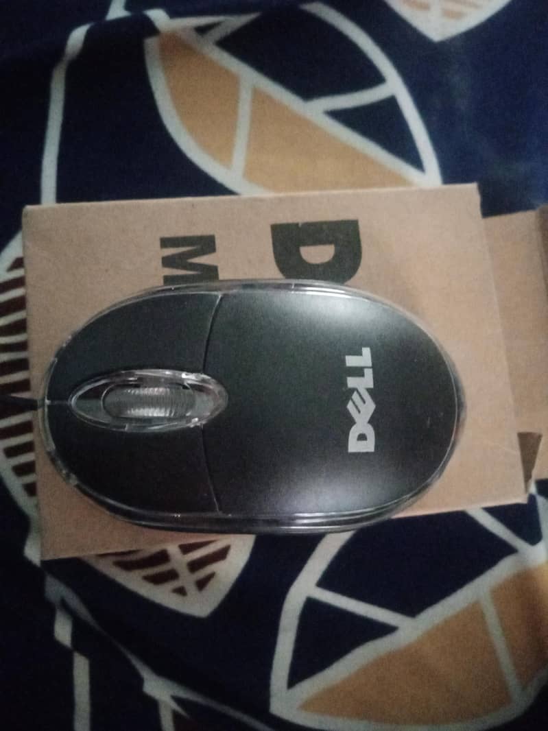 mouse 1
