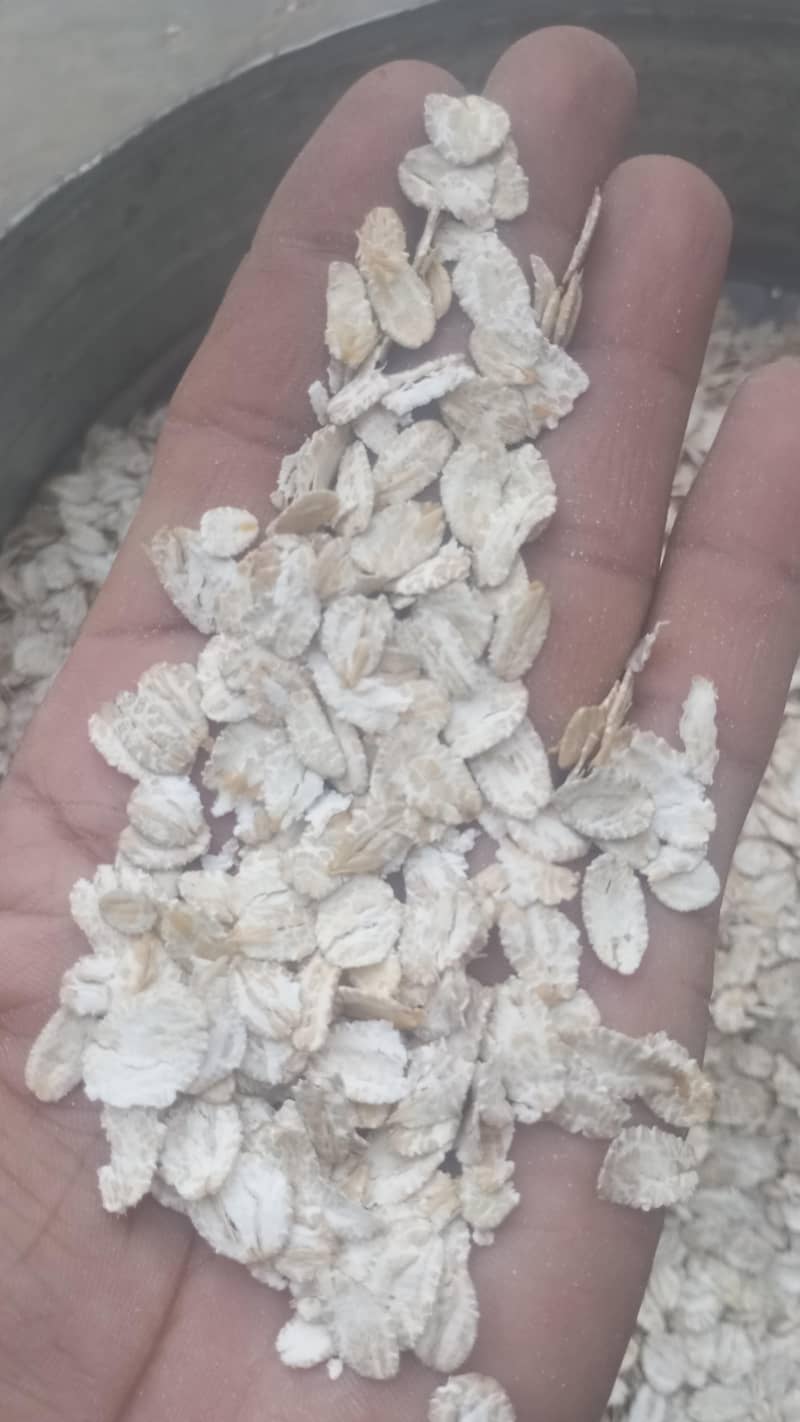 گندم اور جو کا اوٹس کا دلیہ 1