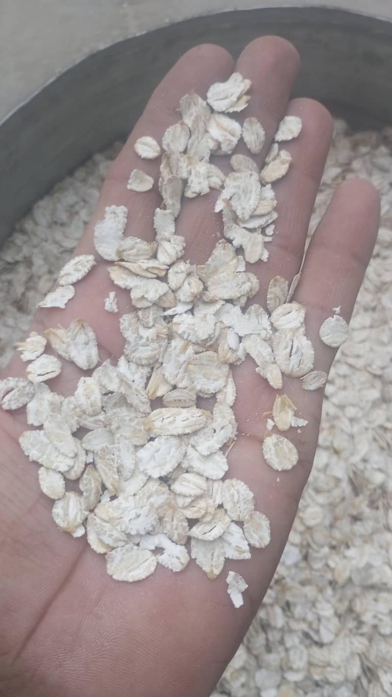 گندم اور جو کا اوٹس کا دلیہ 2
