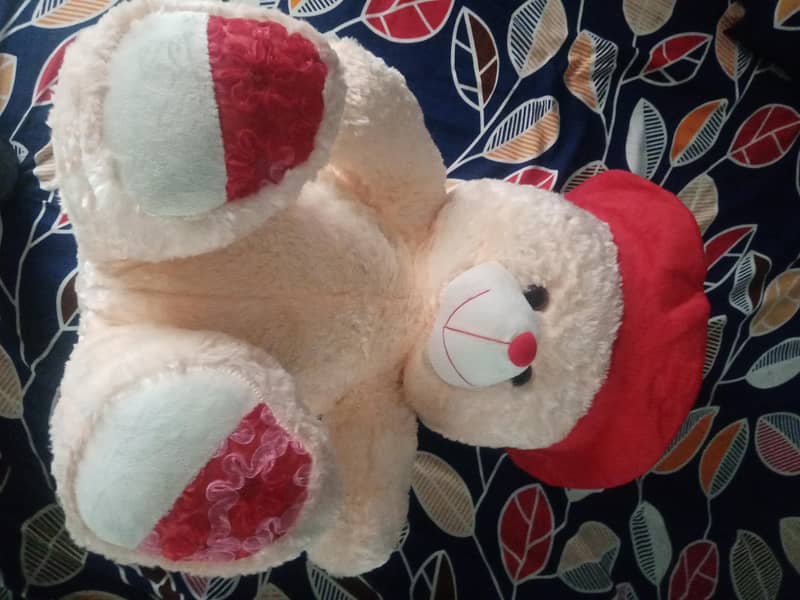 Tadibear 1