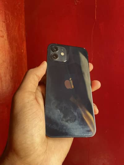 I phone 12 non pta bp
