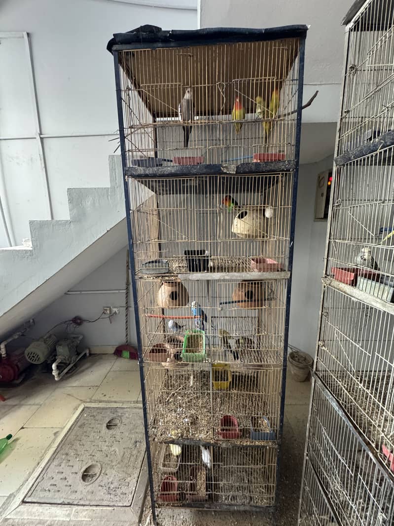 8 Portion Cage 0