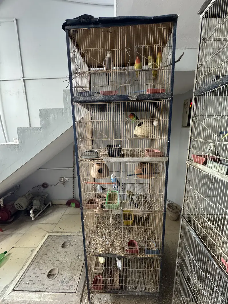 8 Portion Cage