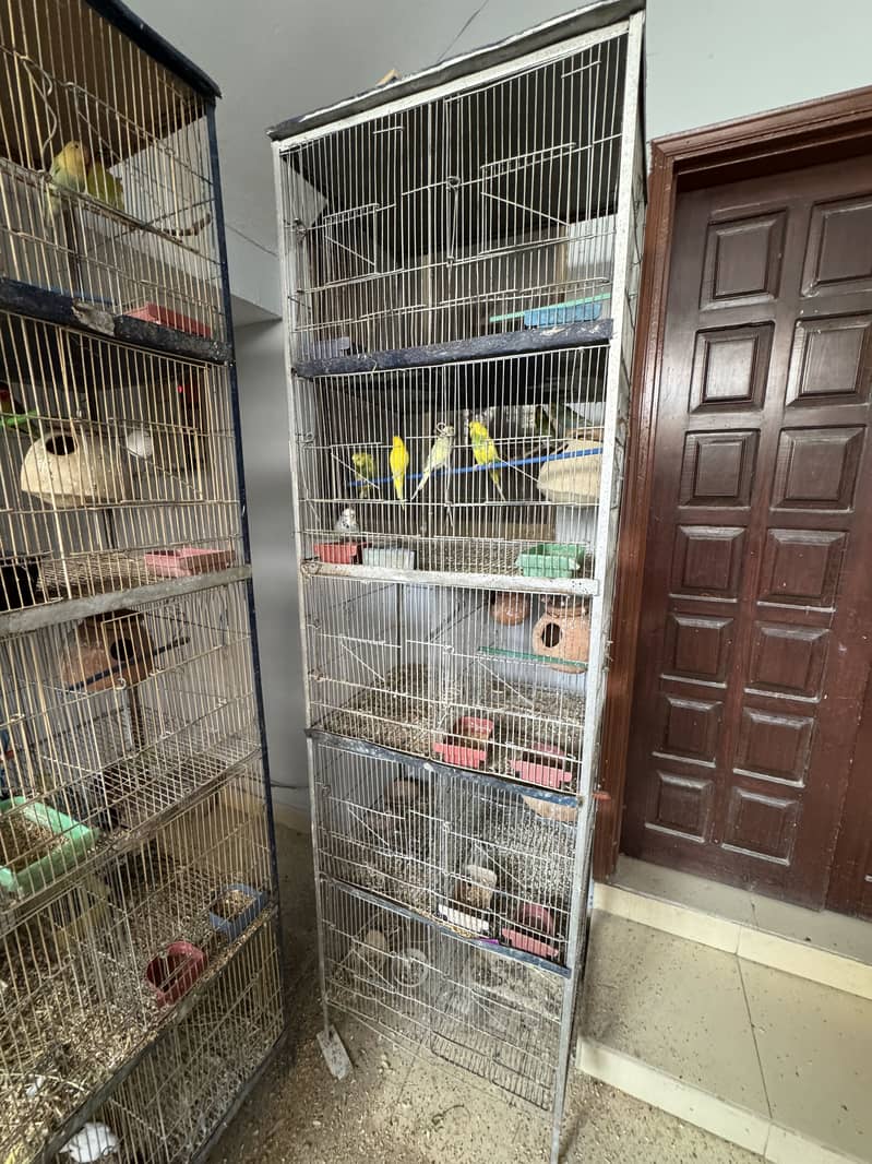 8 Portion Cage 1