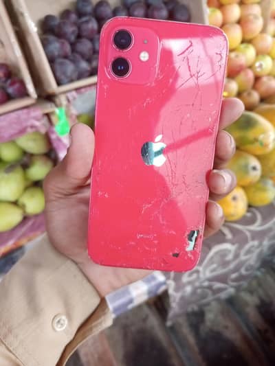 Apple iPhone 12 read add first