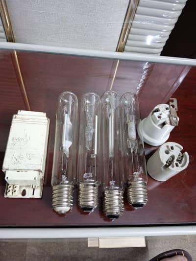 t light