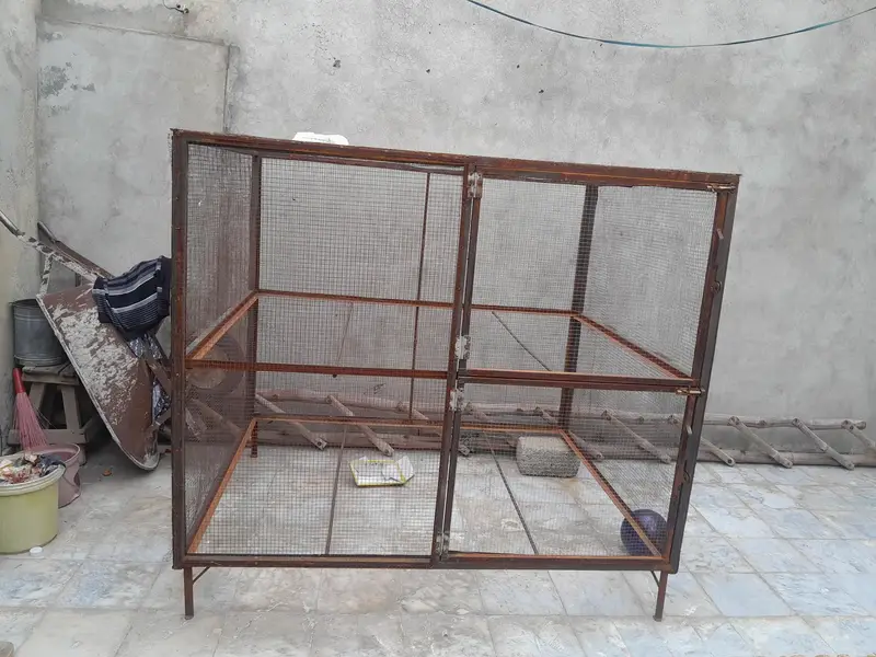 Hen cage — photo 2