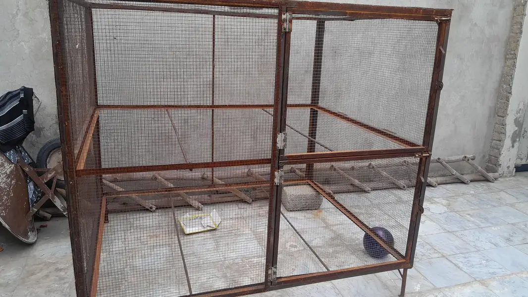 Hen cage — photo 3