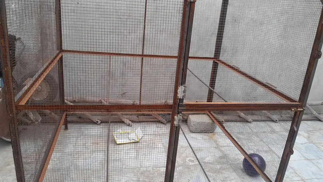 Hen cage — photo 5